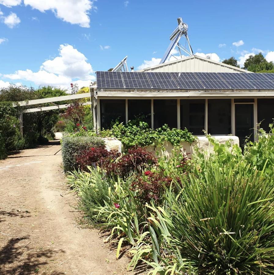 Strath Creek Strawbale Cottage - Wingspread Garden מראה חיצוני תמונה