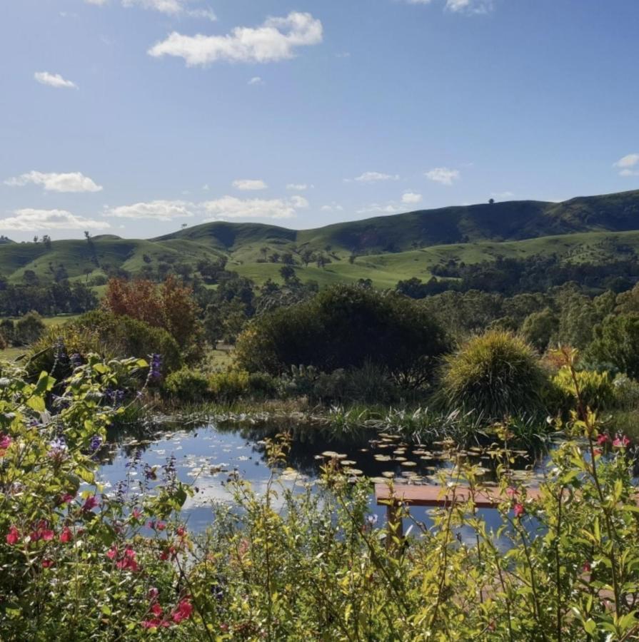 Strath Creek Strawbale Cottage - Wingspread Garden מראה חיצוני תמונה